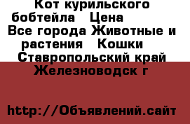 Кот курильского бобтейла › Цена ­ 5 000 - Все города Животные и растения » Кошки   . Ставропольский край,Железноводск г.